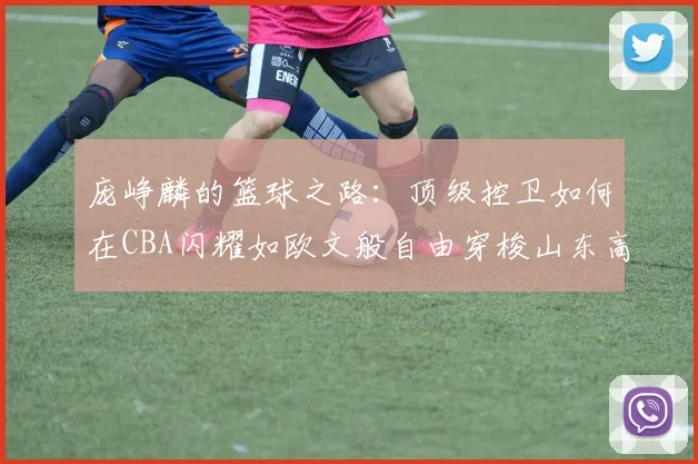 庞峥麟的篮球之路：顶级控卫如何在CBA闪耀如欧文般自由穿梭山东高速