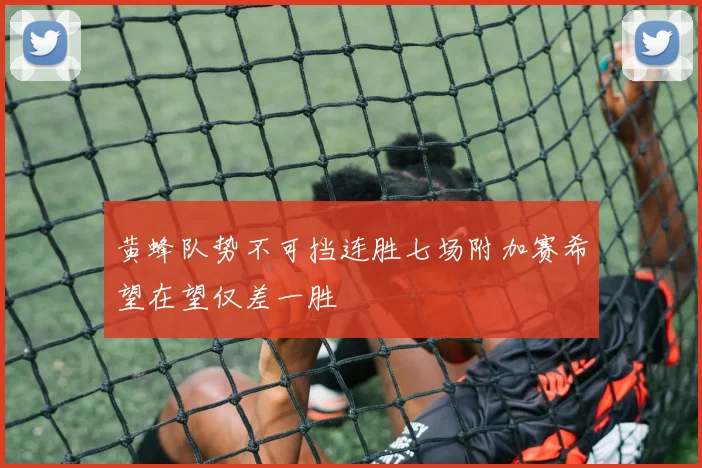 黄蜂队势不可挡连胜七场附加赛希望在望仅差一胜